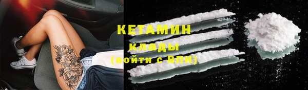прущие крисы Бородино