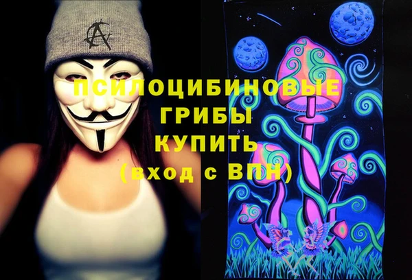 ПСИЛОЦИБИНОВЫЕ ГРИБЫ Бугульма
