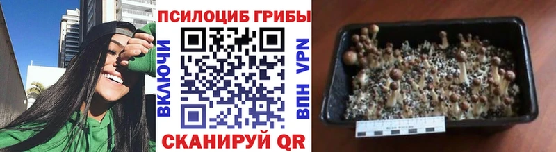 Псилоцибиновые грибы мухоморы  Новокубанск 